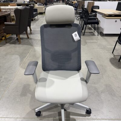 High Back Mesh Task Chair W/Headrest